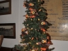 Class Tree in AG Room